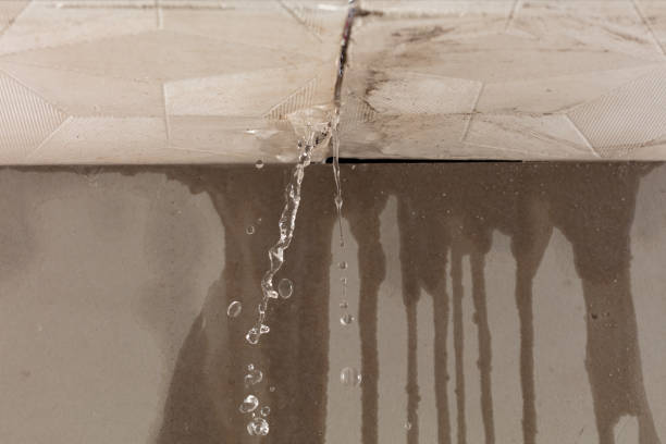 Professional Water Damage Restoration technician working in New Zion, SC